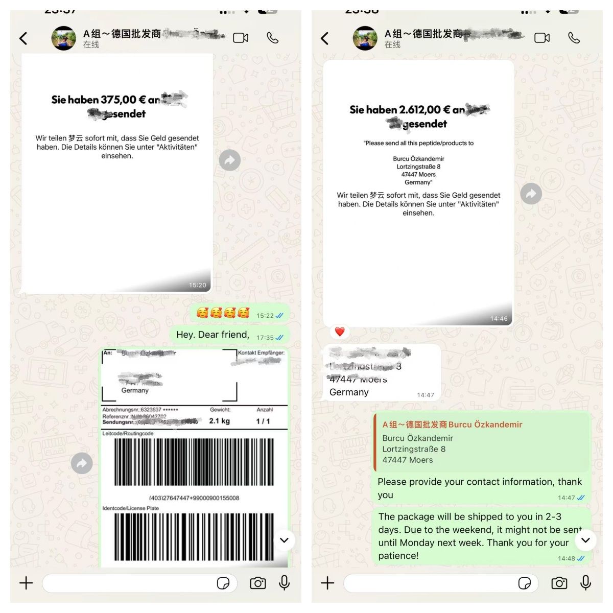 WhatsApp customer feedback